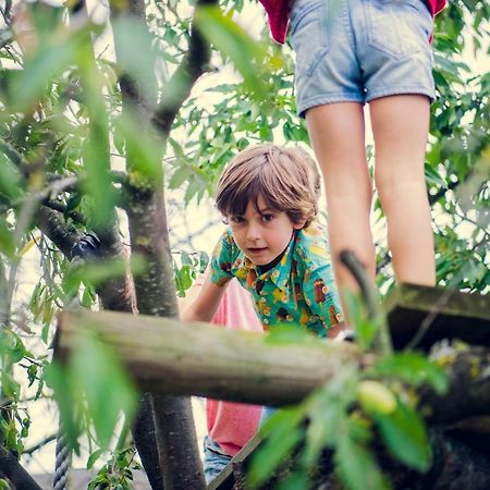 De Schaapskooi Villa Kasterlee Exteriör bild